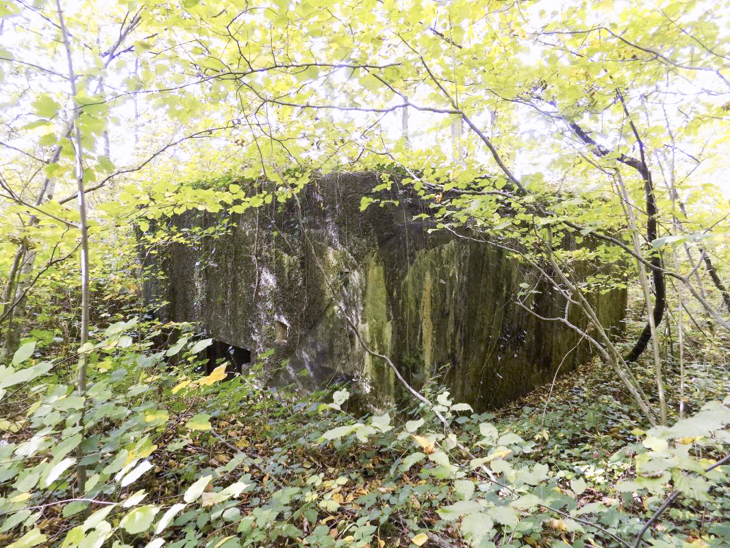 Ligne Maginot - 201 - LA NIVRAGNE OUEST - (Blockhaus pour canon) - L'arrière et face droite. Noter la ligne diagonal dans le béton, ce qui marque les pierres et terre contre la face droite. - R Tucker