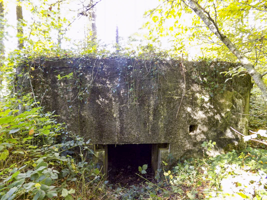 Ligne Maginot - 201 - LA NIVRAGNE OUEST - (Blockhaus pour canon) - L'arrière entrée AC - R Tucker