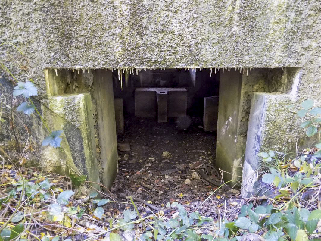 Ligne Maginot - 201 - LA NIVRAGNE OUEST - (Blockhaus pour canon) - L'entrée AC - R Tucker