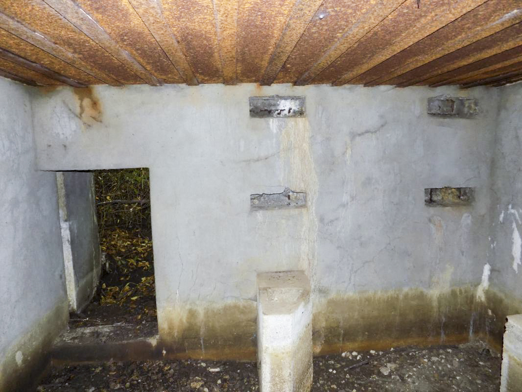 Ligne Maginot - 201 - LA NIVRAGNE OUEST - (Blockhaus pour canon) - Face gauche, entrée hommes - R Tucker