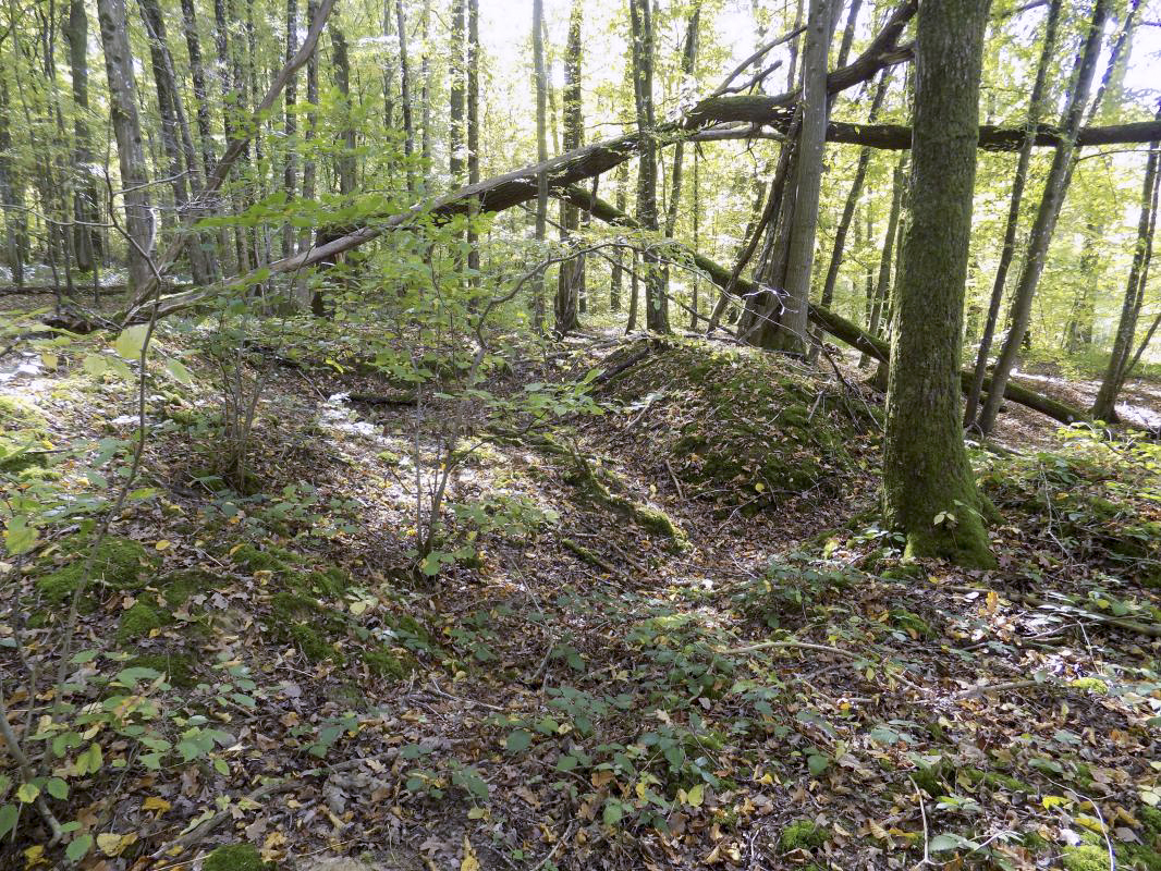 Ligne Maginot - 201 - LA NIVRAGNE OUEST - (Blockhaus pour canon) - Grand abri, 50m du bloc - R Tucker