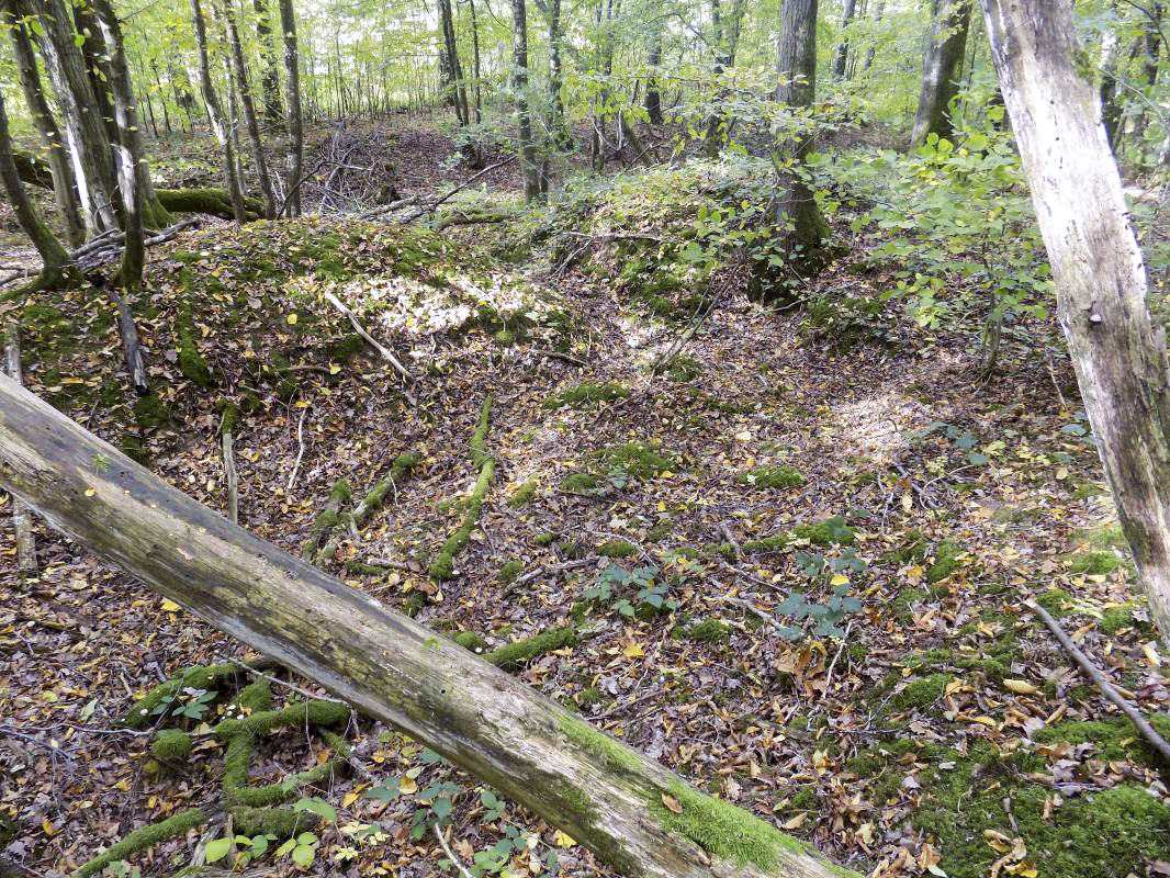 Ligne Maginot - 201 - LA NIVRAGNE OUEST - (Blockhaus pour canon) - Grand abri, 50m du bloc - R Tucker