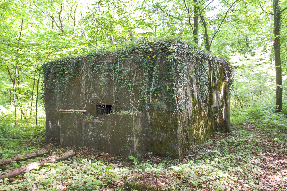 Ligne Maginot - CB337 - GRAND LOT NORD - (Blockhaus pour arme infanterie) - Vue frontale du blockhaus avec le créneau pour l'arme principale sur la gauche - Michel Teiten