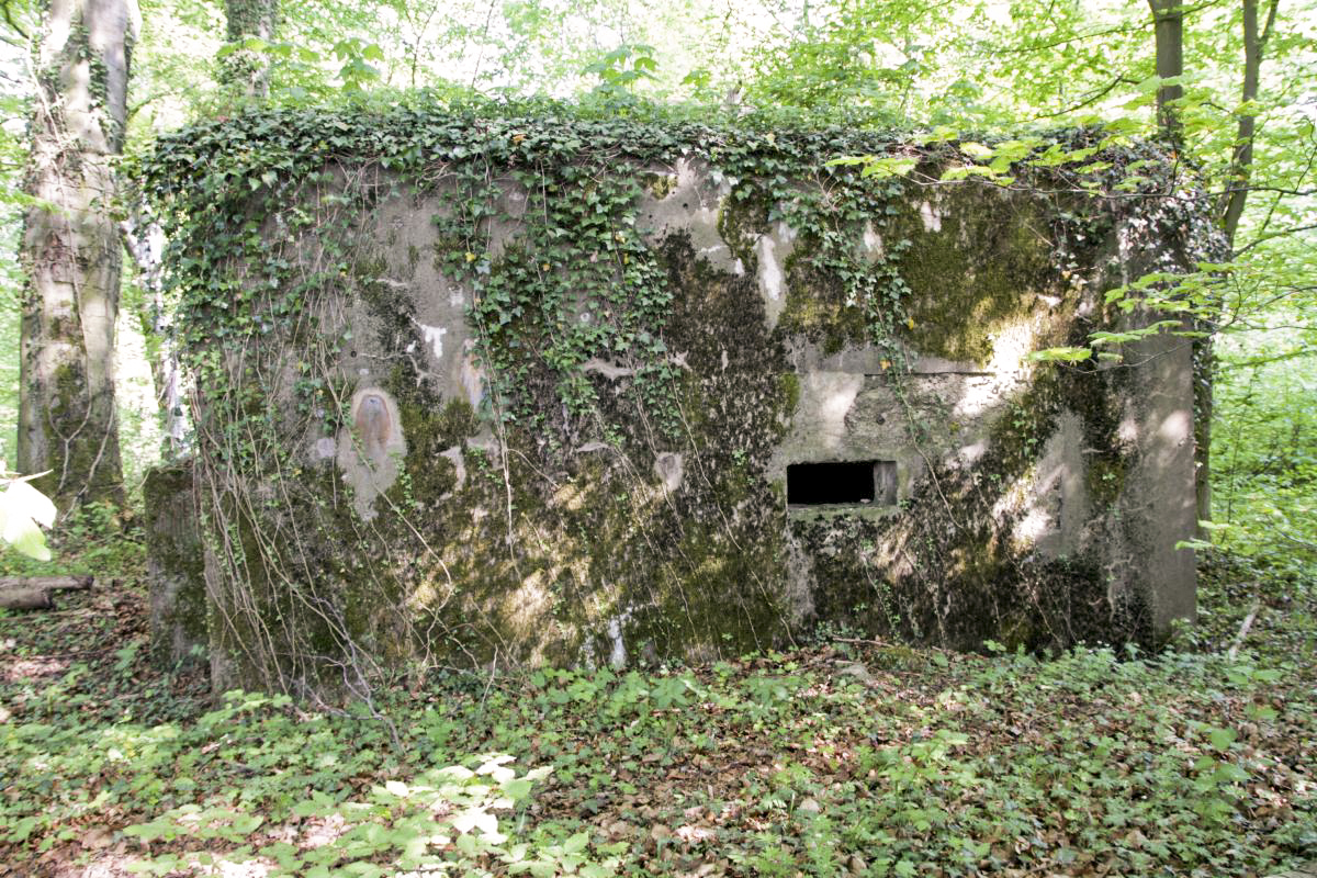 Ligne Maginot - CB337 - GRAND LOT NORD - (Blockhaus pour arme infanterie) - L'une des faces présente ce curieux petit créneau de défense rapprochée - Michel Teiten