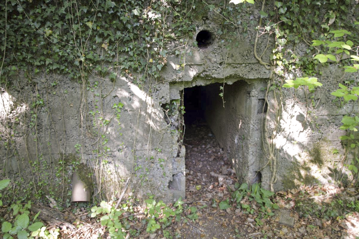 Ligne Maginot - CB337 - GRAND LOT NORD - (Blockhaus pour arme infanterie) - Entrée du blockhaus. - Michel Teiten