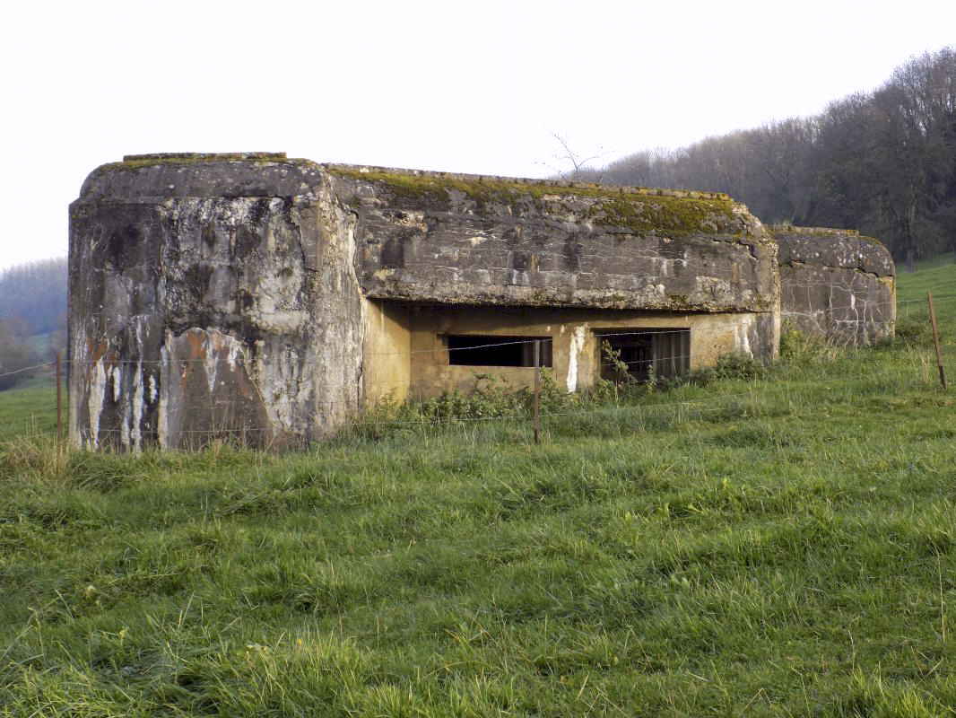 Ligne Maginot - 101 - PAQUIS DES CAILLES - (Blockhaus lourd type STG / STG-FCR - Double) -  - R Tucker