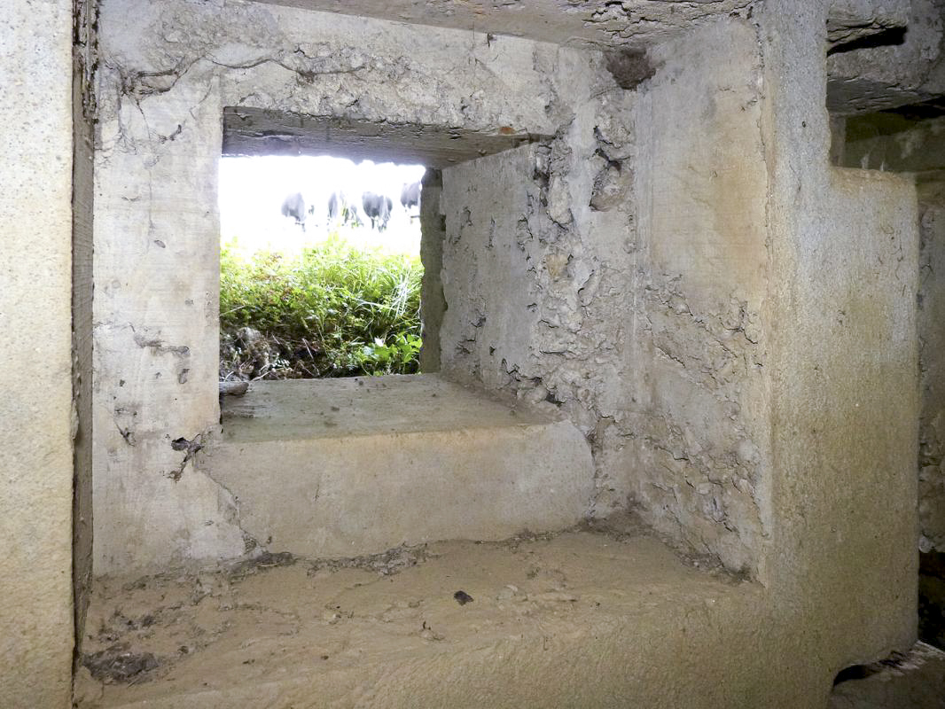 Ligne Maginot - 101 - PAQUIS DES CAILLES - (Blockhaus lourd type STG / STG-FCR - Double) -  - JMBrams