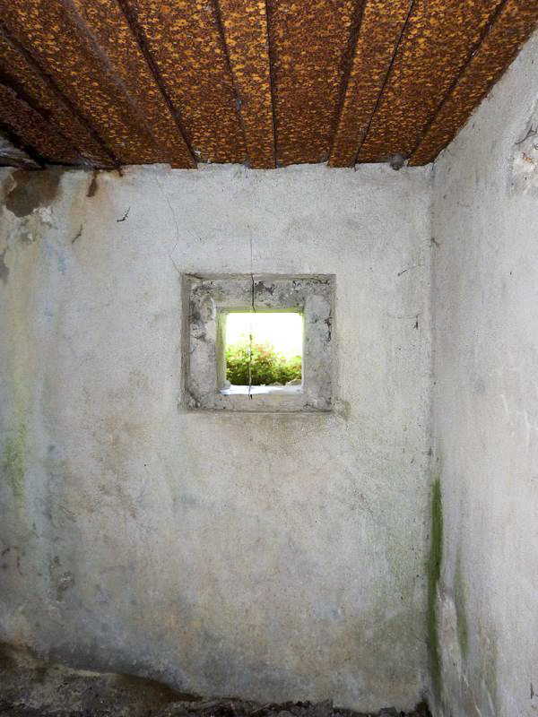 Ligne Maginot - 101 - PAQUIS DES CAILLES - (Blockhaus lourd type STG / STG-FCR - Double) -  - JMBrams