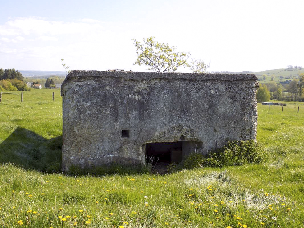 Ligne Maginot - 202 - LA NIVRAGNE EST - (Blockhaus pour canon) - L'arrière - R Tucker