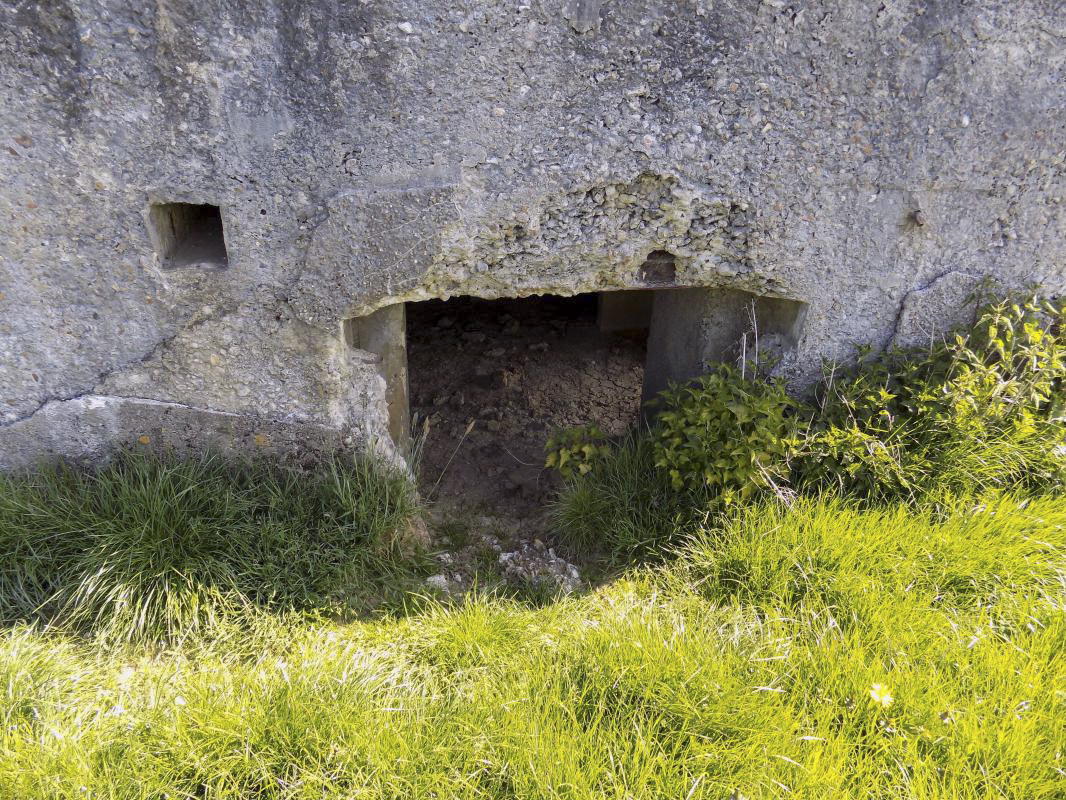 Ligne Maginot - 202 - LA NIVRAGNE EST - (Blockhaus pour canon) - L'entrée AC - R Tucker