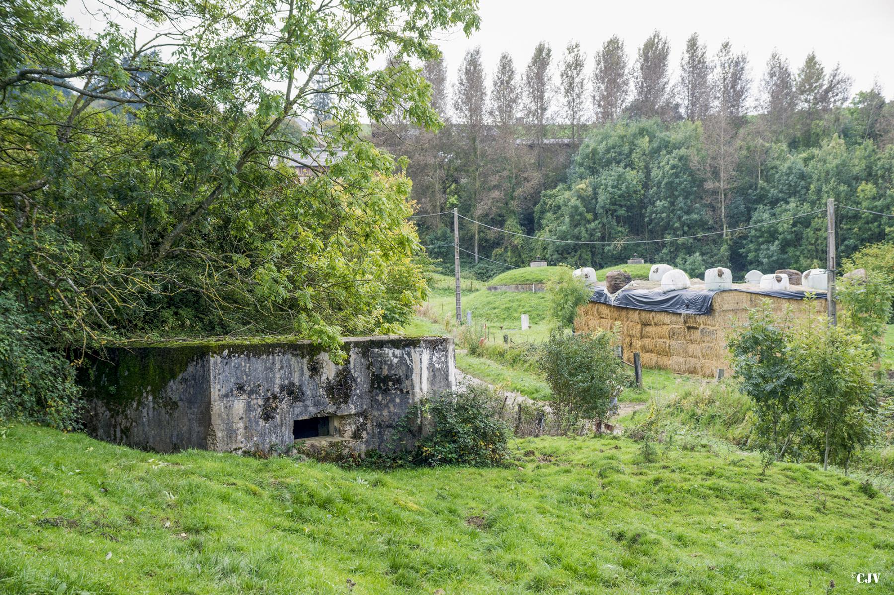 Ligne Maginot - 203 - LES RESERVOIRS - (Blockhaus pour canon) -  - Lia VERMEULEN