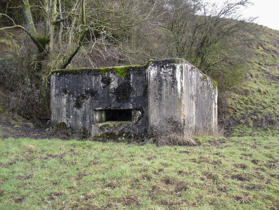 Ligne Maginot - 203 - LES RESERVOIRS - (Blockhaus pour canon) -  - R Tucker