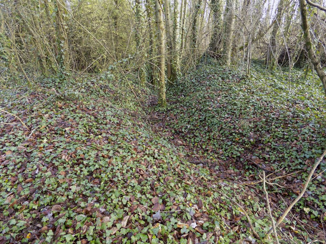 Ligne Maginot - 210 - PONT DE VILLETTE OUEST - (Blockhaus pour canon) - Vestiges des tranchées vers T1 - R Tucker