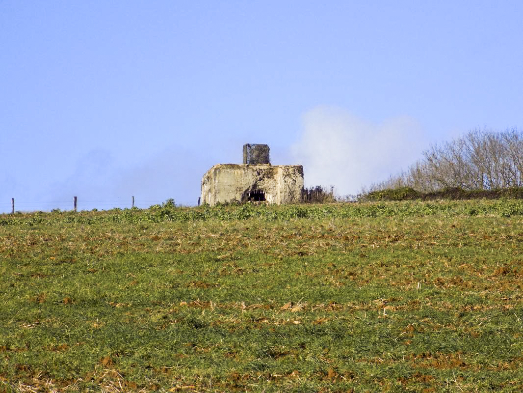 Ligne Maginot - 222 - SAURETERRE OUEST - (Blockhaus pour canon) -  - R Tucker