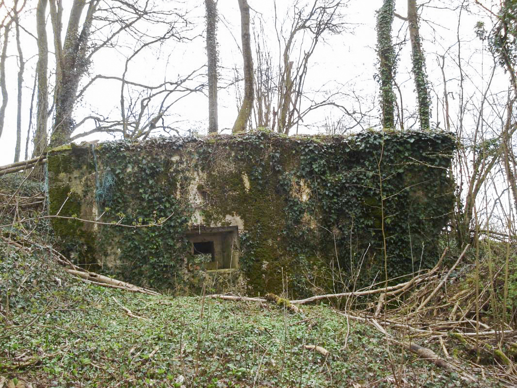Ligne Maginot - 310 - LA VASALLEE NORD - (Blockhaus pour arme infanterie) - Face droite - R Tucker