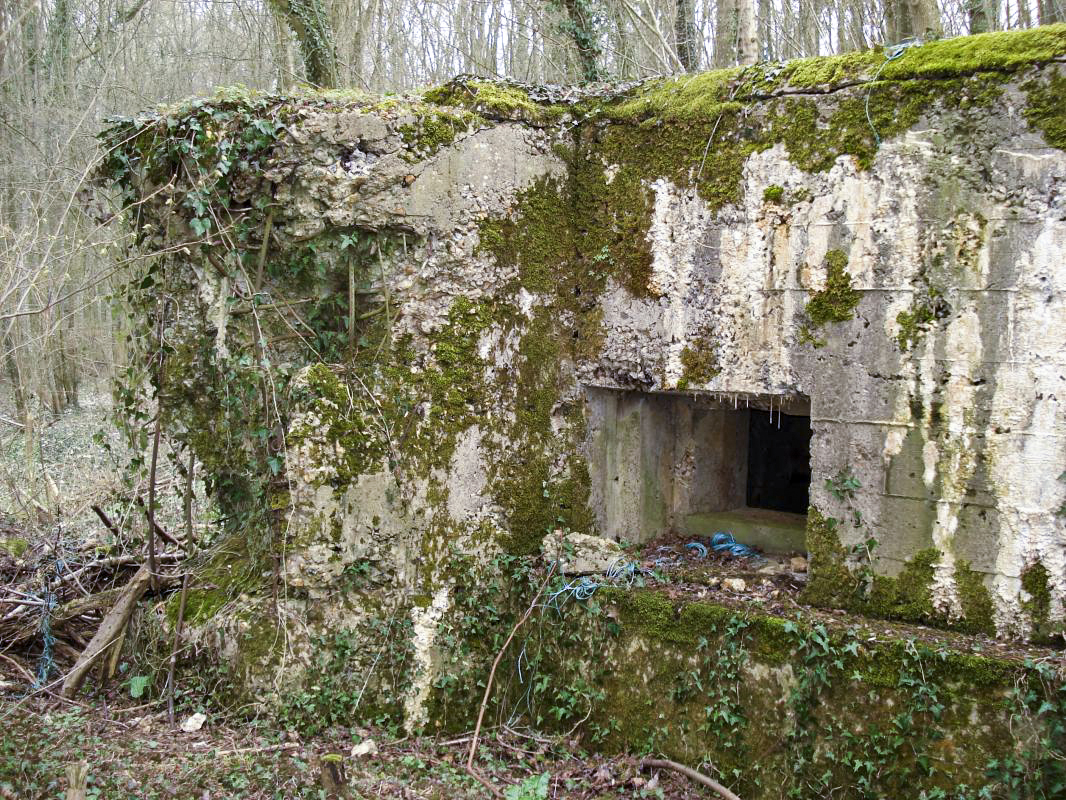 Ligne Maginot - 310 - LA VASALLEE NORD - (Blockhaus pour arme infanterie) - Face gauche - R Tucker