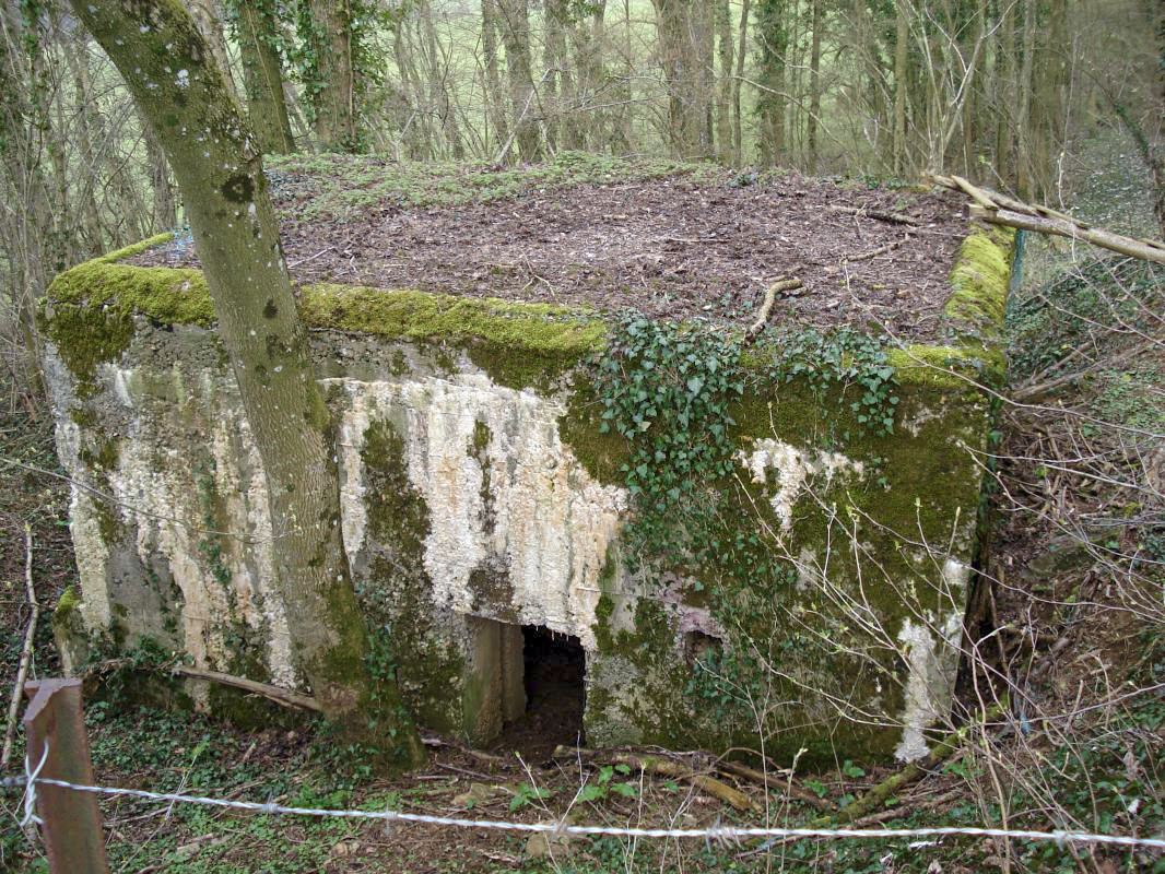 Ligne Maginot - 310 - LA VASALLEE NORD - (Blockhaus pour arme infanterie) - L'entrée - R Tucker