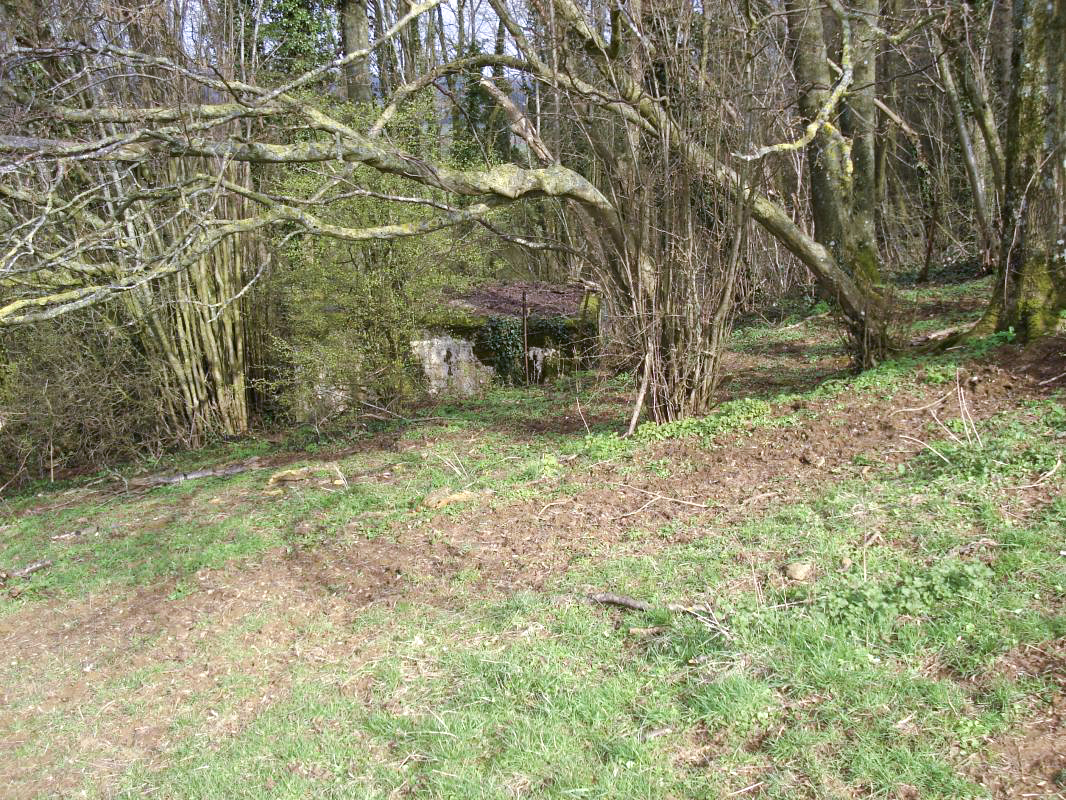 Ligne Maginot - 310 - LA VASALLEE NORD - (Blockhaus pour arme infanterie) -  - R Tucker