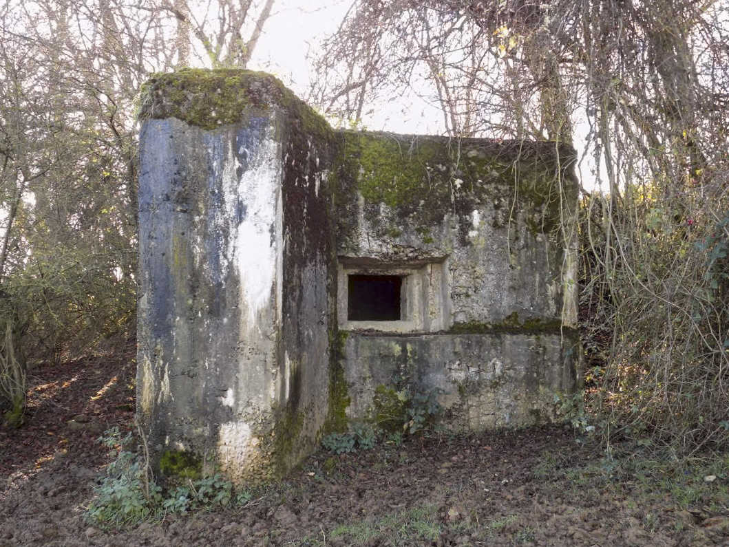 Ligne Maginot - 311 - SAURETERRE EST - (Blockhaus pour arme infanterie) - Face vers le nord - R Tucker