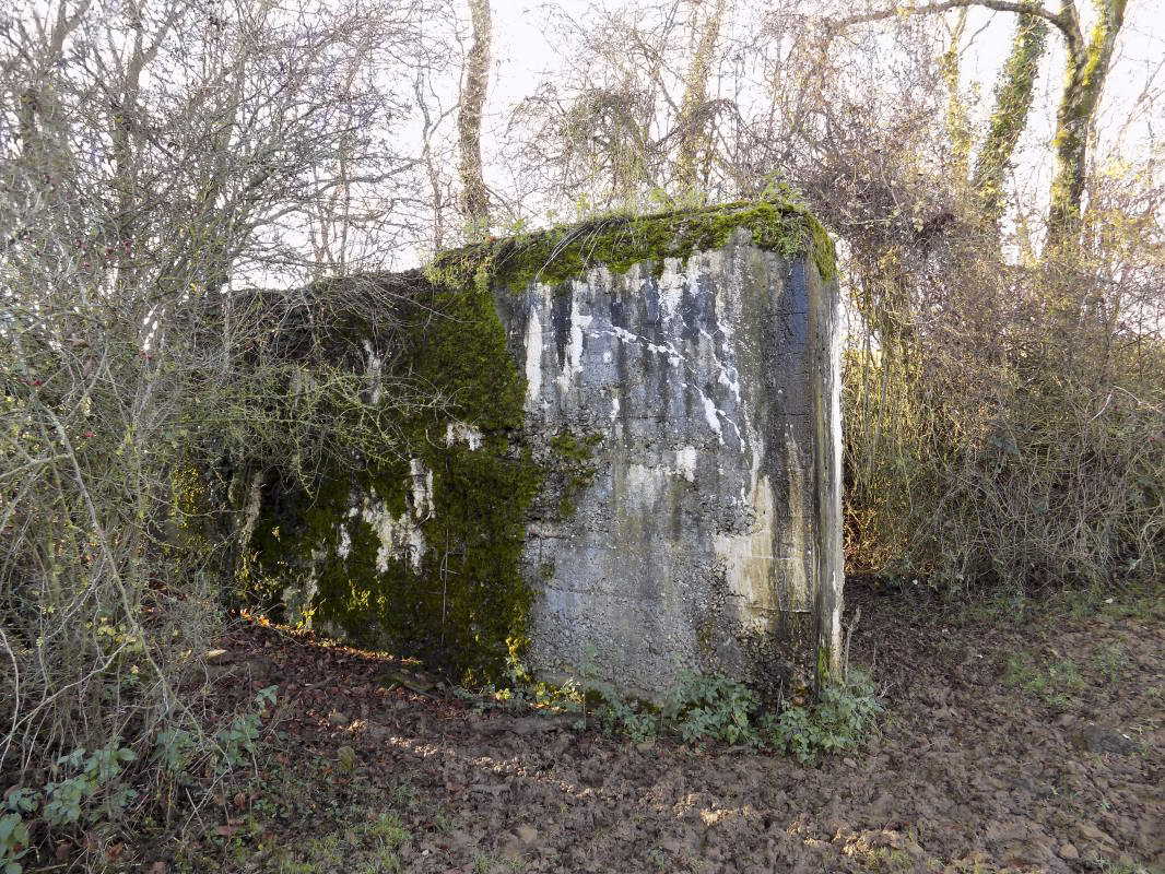 Ligne Maginot - 311 - SAURETERRE EST - (Blockhaus pour arme infanterie) - Face vers l'est - R Tucker