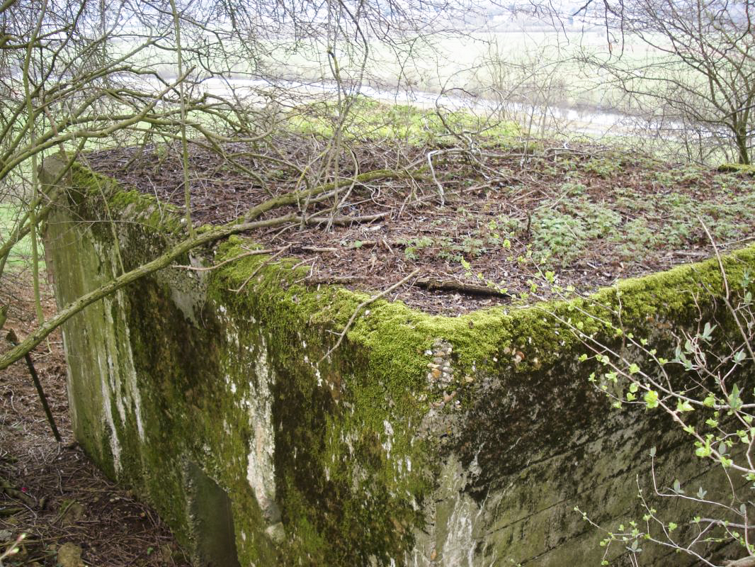 Ligne Maginot - 311 - SAURETERRE EST - (Blockhaus pour arme infanterie) -  - R Tucker