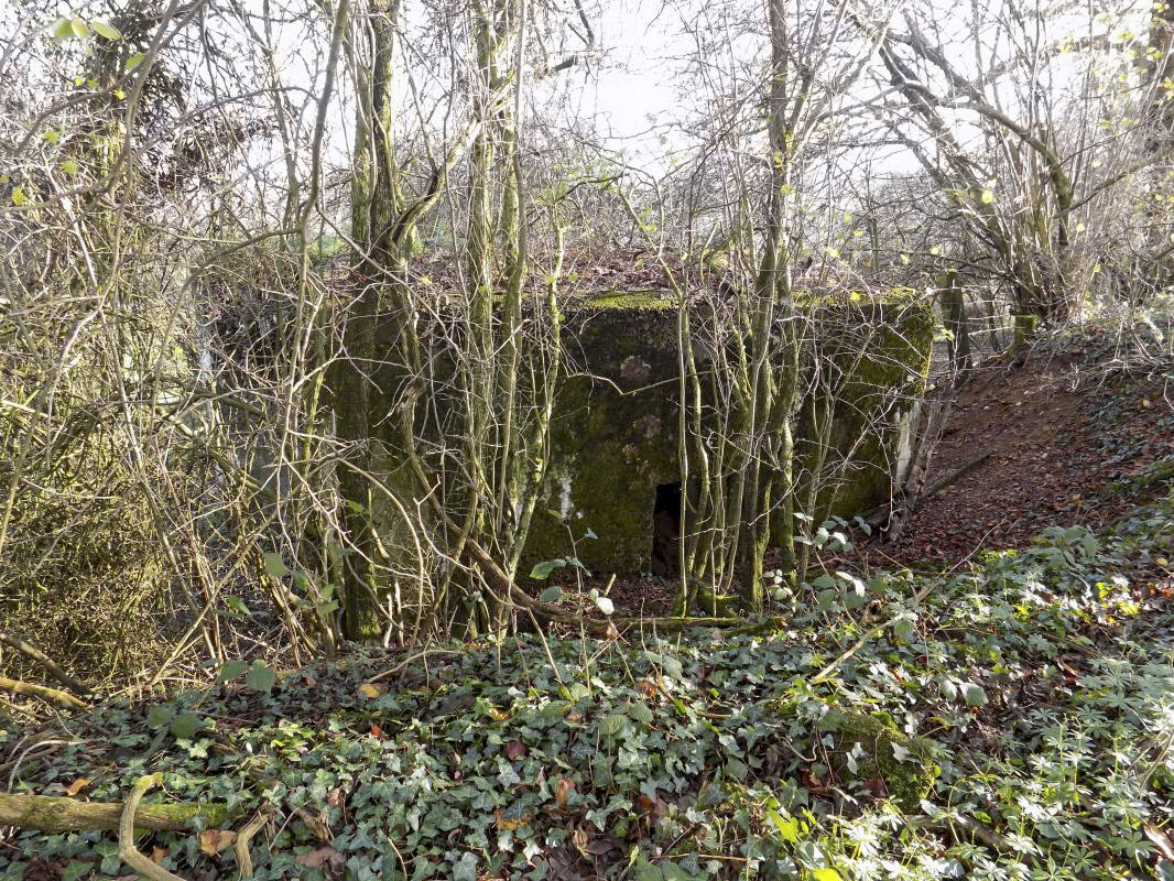 Ligne Maginot - 311 - SAURETERRE EST - (Blockhaus pour arme infanterie) - L'entrée - R Tucker
