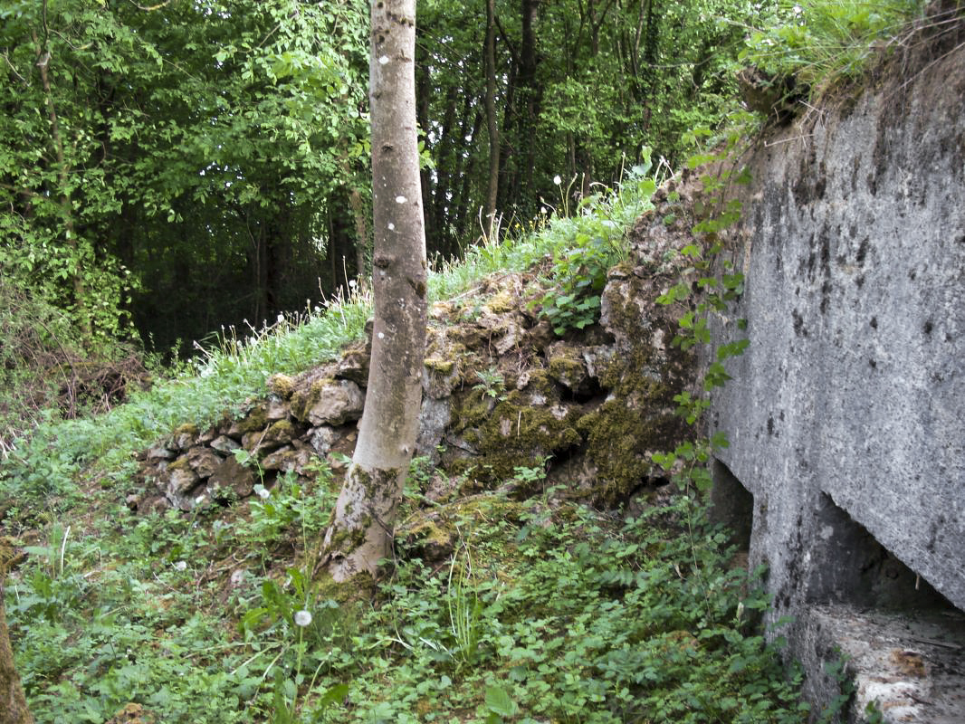 Ligne Maginot - BB117-B - LA HAZELLE - (Blockhaus pour arme infanterie) -  - R Tucker