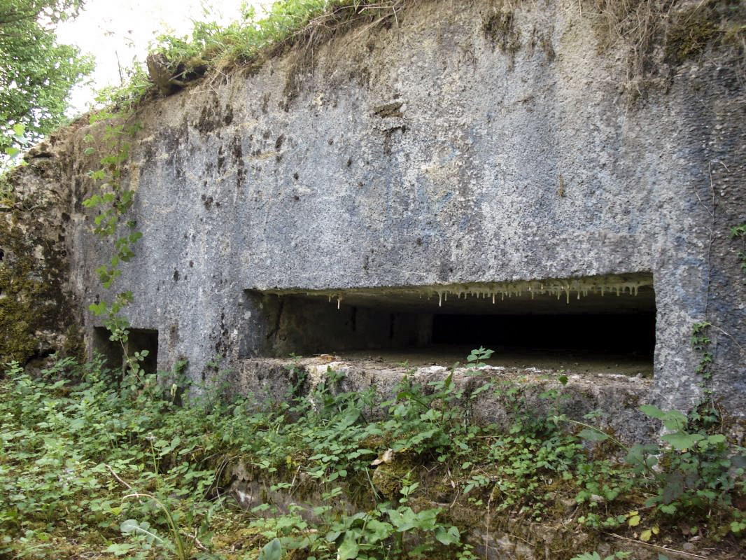 Ligne Maginot - BB117-B - LA HAZELLE - (Blockhaus pour arme infanterie) -  - R Tucker