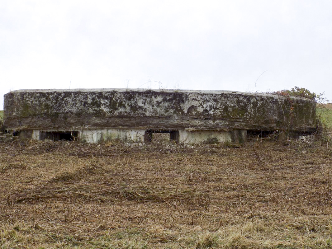 Ligne Maginot - F - LA MACHERE - (Blockhaus pour canon) - Face frontale - R Tucker