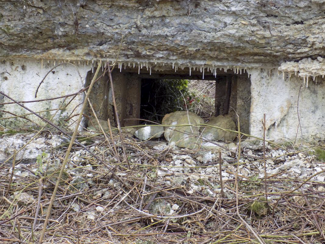 Ligne Maginot - F - LA MACHERE - (Blockhaus pour canon) - Créneau AC centrale - R Tucker