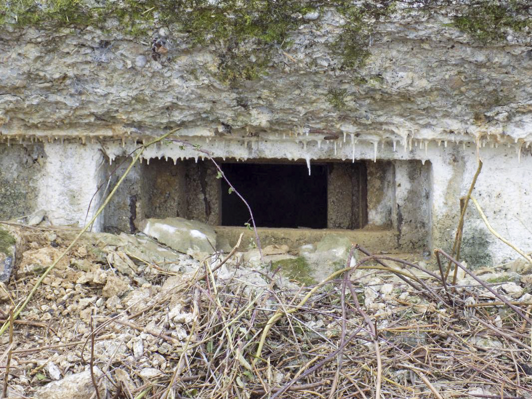 Ligne Maginot - F - LA MACHERE - (Blockhaus pour canon) - Créneau Hotchkiss droite - R Tucker