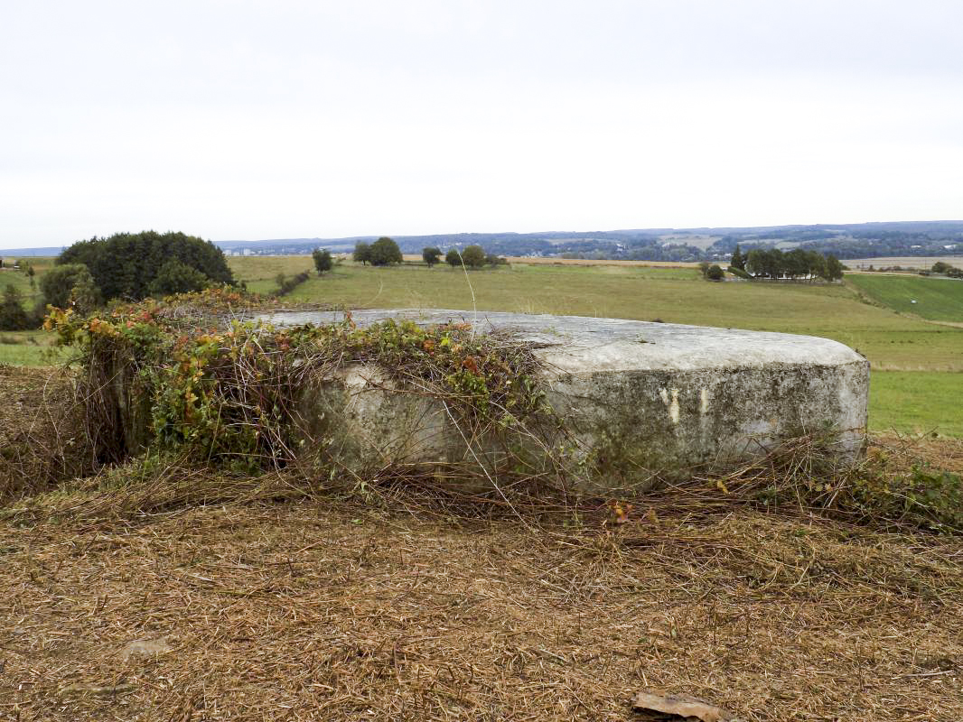 Ligne Maginot - F - LA MACHERE - (Blockhaus pour canon) - L'arrière droite - R Tucker