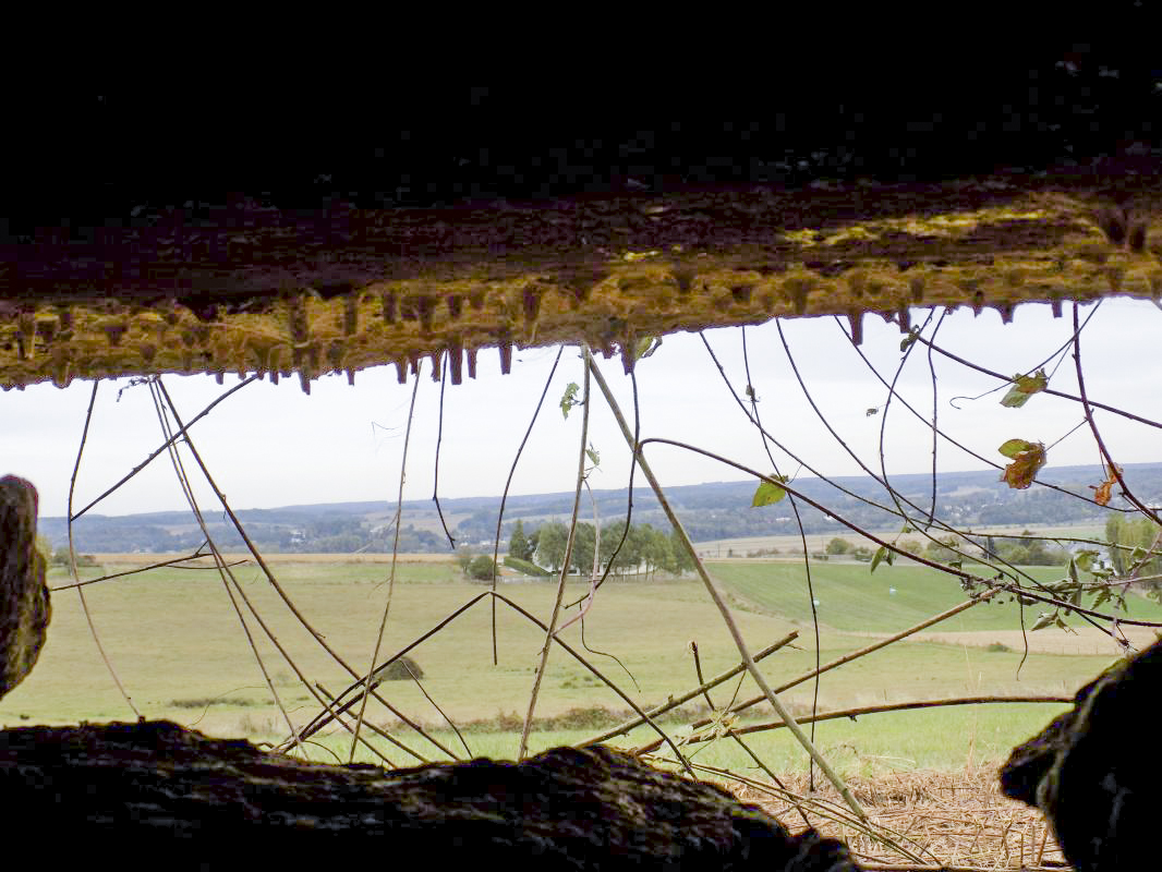 Ligne Maginot - F - LA MACHERE - (Blockhaus pour canon) - Vue créneau gauche vers le nord - R Tucker