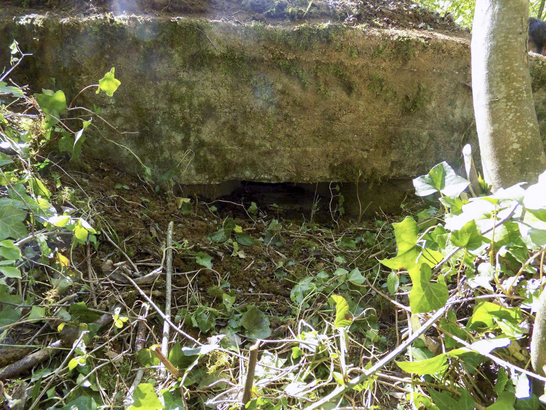 Ligne Maginot - BB121 - BOIS DU LIRRY - (Observatoire indéterminé) - Face frontale droite - R Tucker