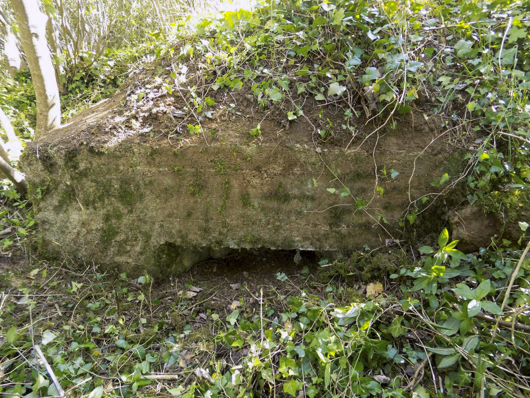 Ligne Maginot - BB121 - BOIS DU LIRRY - (Observatoire indéterminé) - Face frontale gauche - R Tucker