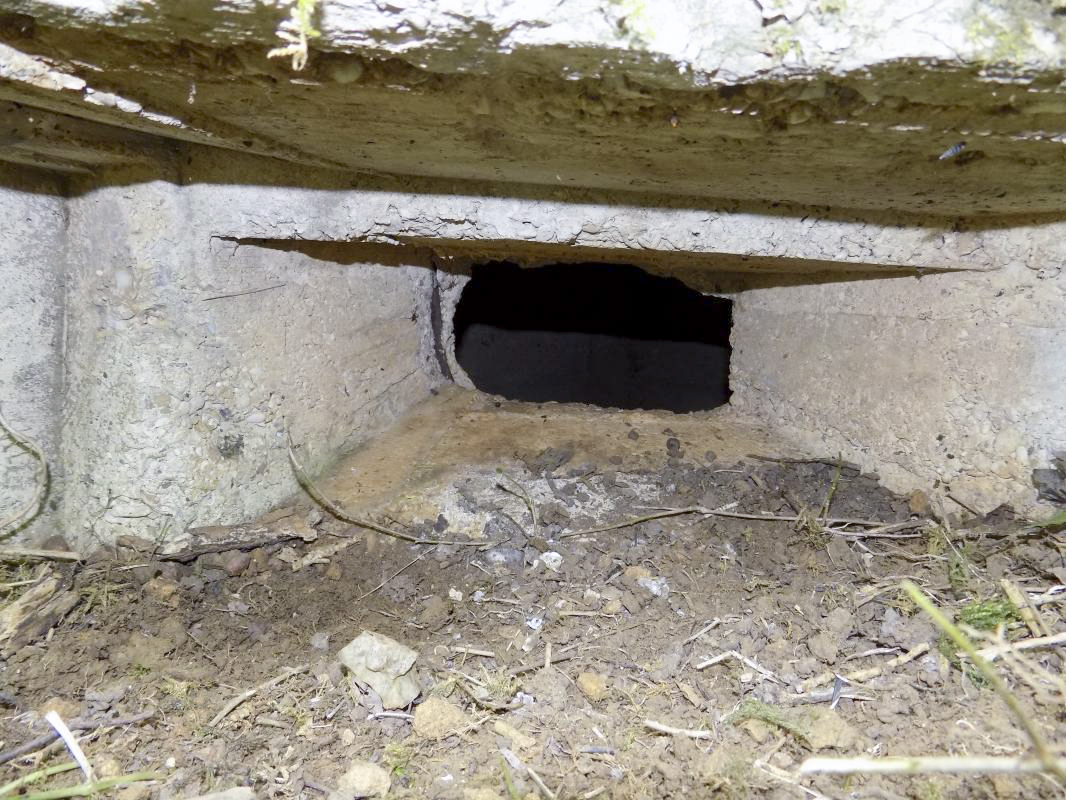 Ligne Maginot - BB121 - BOIS DU LIRRY - (Observatoire indéterminé) - Créneau gauche - R Tucker