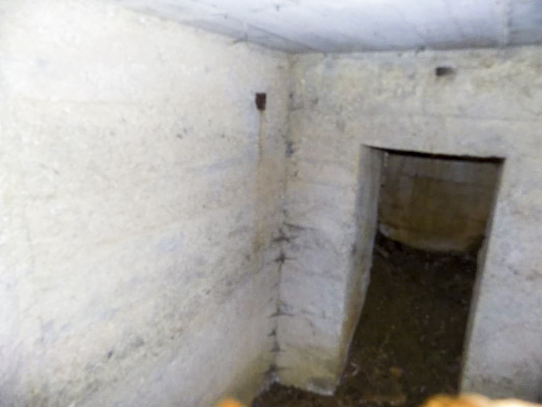 Ligne Maginot - BB121 - BOIS DU LIRRY - (Observatoire indéterminé) - L'entrée - R Tucker