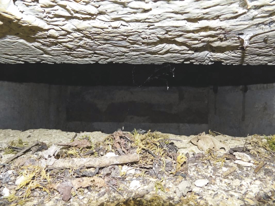 Ligne Maginot - BB305 - LA BOULETTE SUD - (Observatoire d'artillerie) - Pris du créneau d'observation, ce niveau serait séparé en deux salles? - R Tucker
