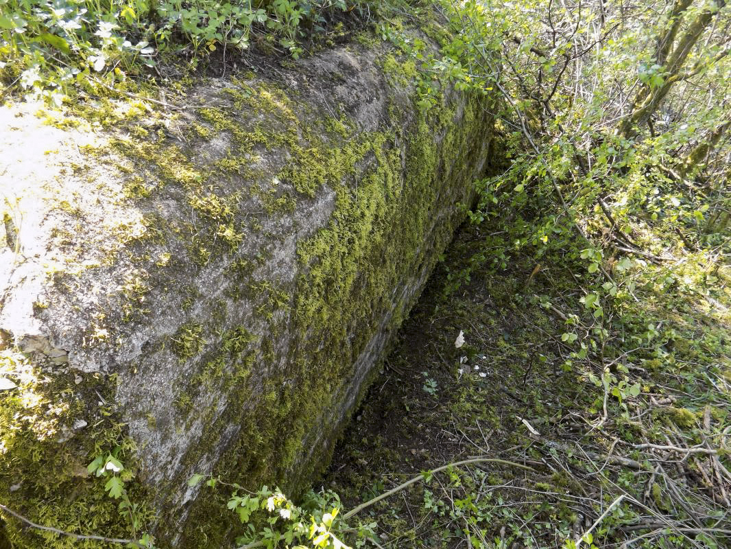 Ligne Maginot - BB305 - LA BOULETTE SUD - (Observatoire d'artillerie) - Face frontale - R Tucker