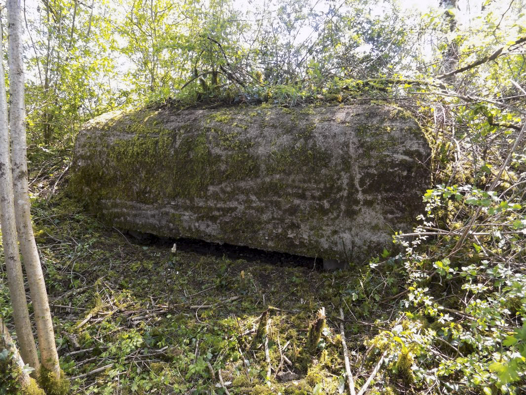 Ligne Maginot - BB305 - LA BOULETTE SUD - (Observatoire d'artillerie) - Face frontale. - R Tucker