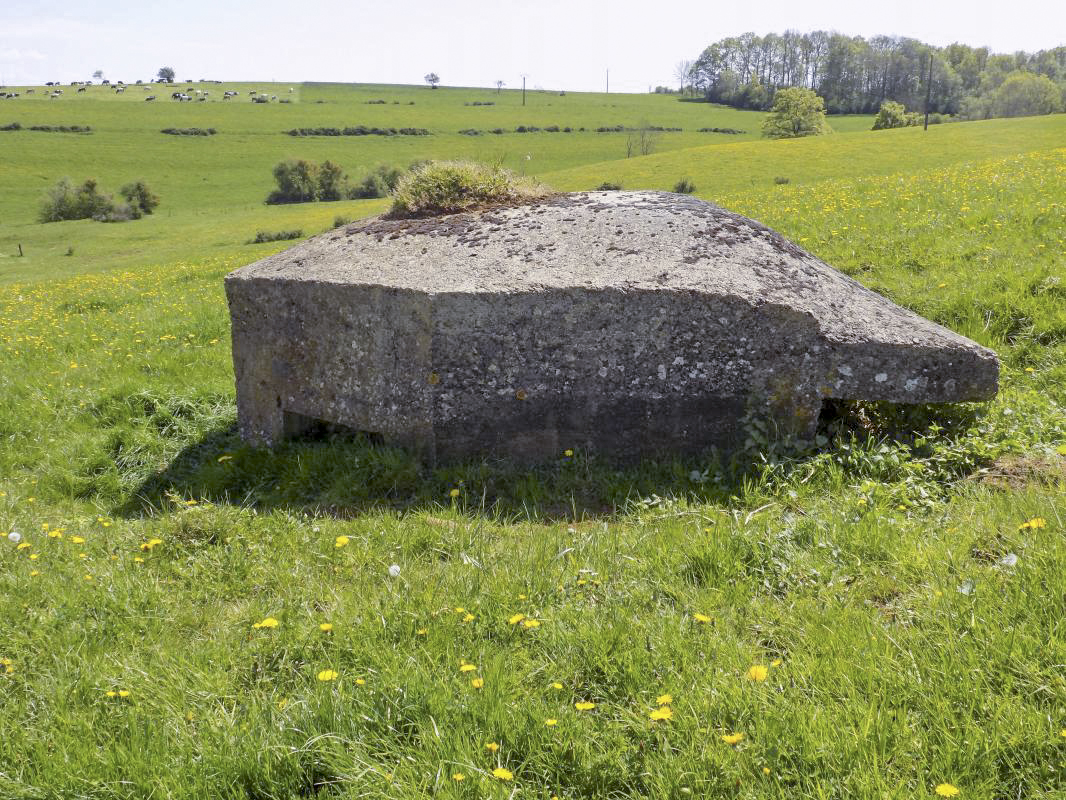 Ligne Maginot - BB129-G - GRAND MORT FONTAINE - (Blockhaus pour arme infanterie) - Face gauche - R Tucker