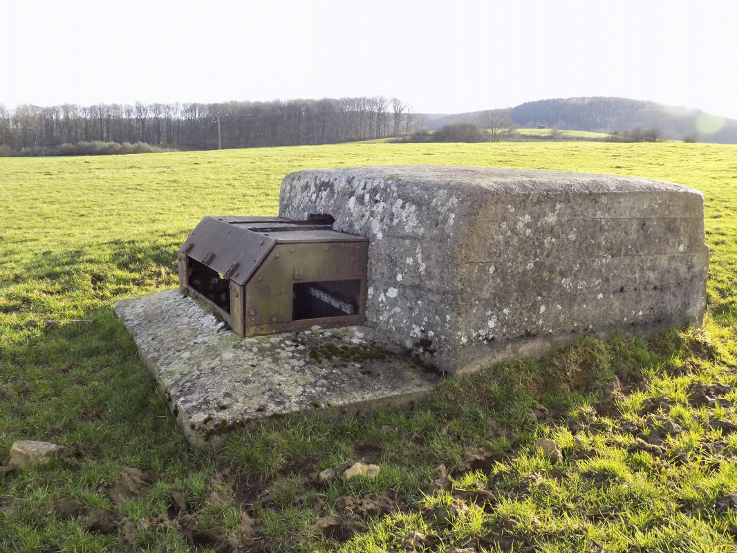 Ligne Maginot - BB129-D - TERRE LACOUE OUEST - (Observatoire d'artillerie) - Face frontale.
Bloc J - Grand Paquis Sud à l’arrière plan. - R Tucker