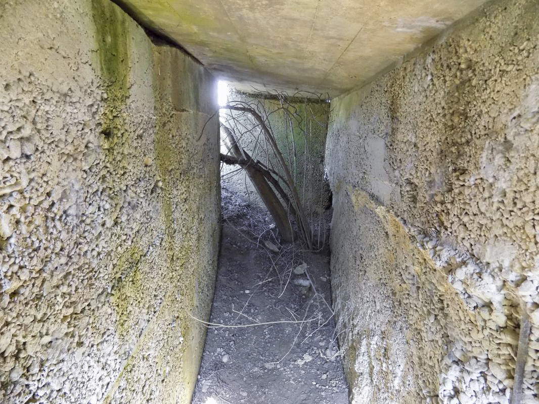 Ligne Maginot - C - CHATEAU DU LIRRY - (Blockhaus pour arme infanterie) - L'entrée - R Tucker