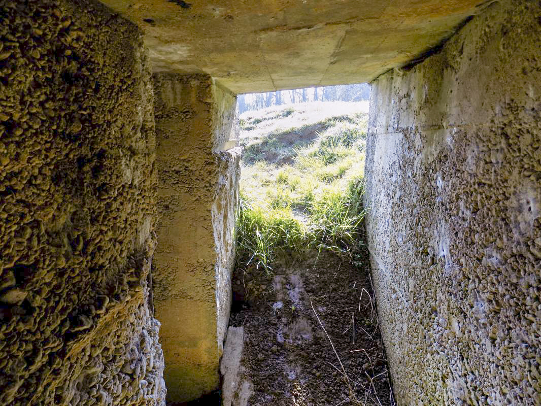 Ligne Maginot - C - CHATEAU DU LIRRY - (Blockhaus pour arme infanterie) - L'entrée - R Tucker