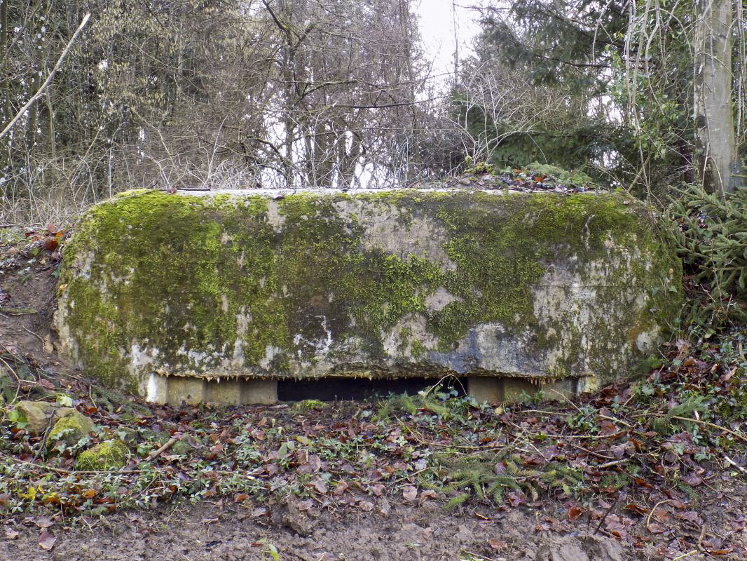 Ligne Maginot - CROIX PIOT - (Observatoire d'infanterie) - Face frontale - R Tucker