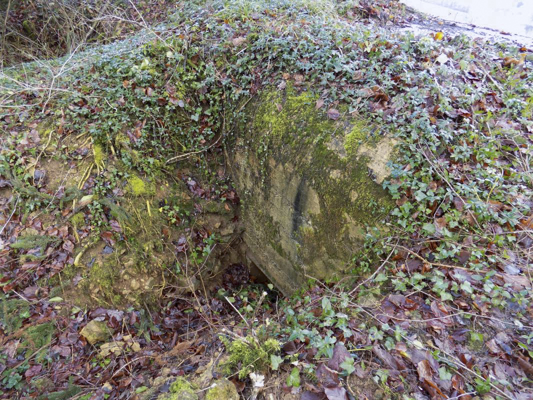 Ligne Maginot - CROIX PIOT - (Observatoire d'infanterie) - L'entrée - R Tucker