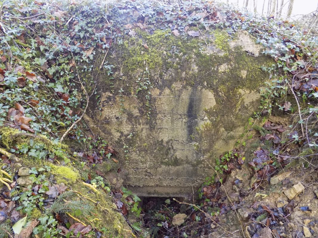 Ligne Maginot - CROIX PIOT - (Observatoire d'infanterie) - L'entrée - R Tucker