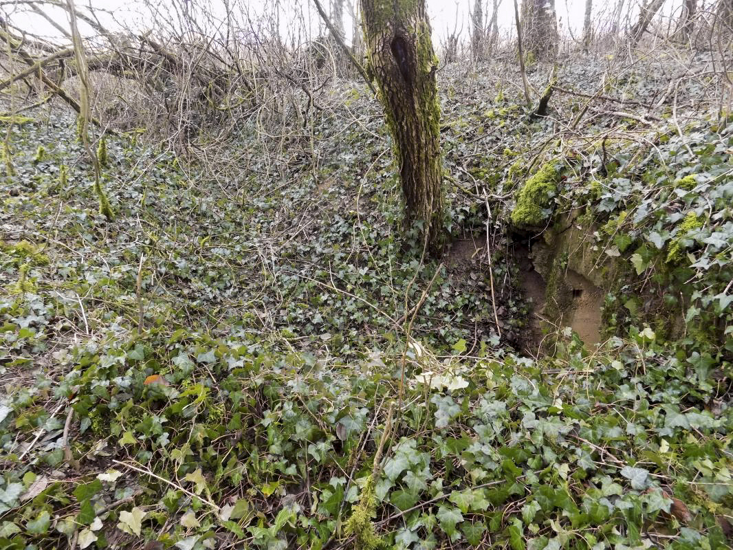 Ligne Maginot - E - CÔTE DU RÛ SUD - (Blockhaus pour arme infanterie) - L'entrée droite et tranchée d’accès - Richard TUCKER