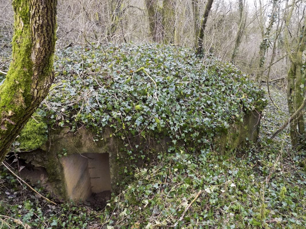 Ligne Maginot - E - CÔTE DU RÛ SUD - (Blockhaus pour arme infanterie) - L'entrée droite - Richard TUCKER