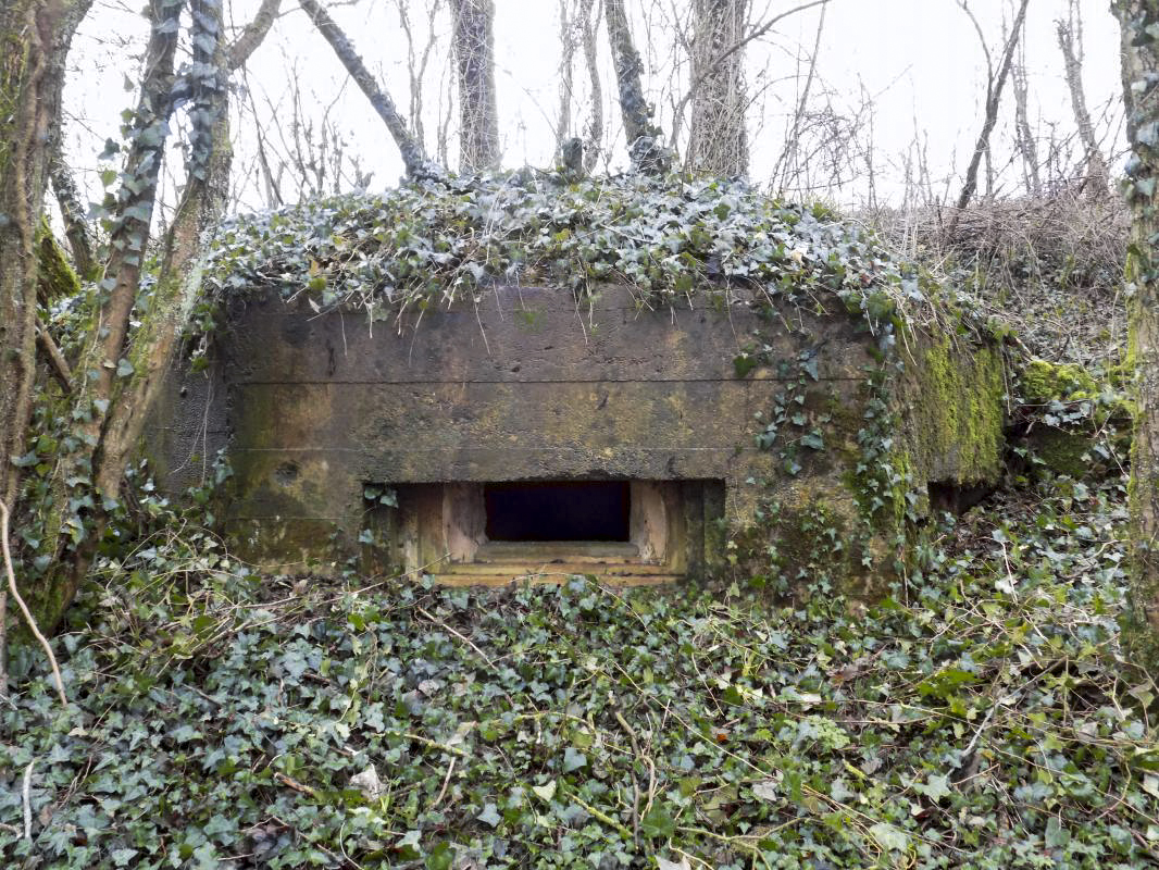 Ligne Maginot - E - CÔTE DU RÛ SUD - (Blockhaus pour arme infanterie) - Face frontale - Richard TUCKER